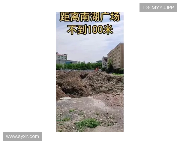 挖掘机内容创作灵感